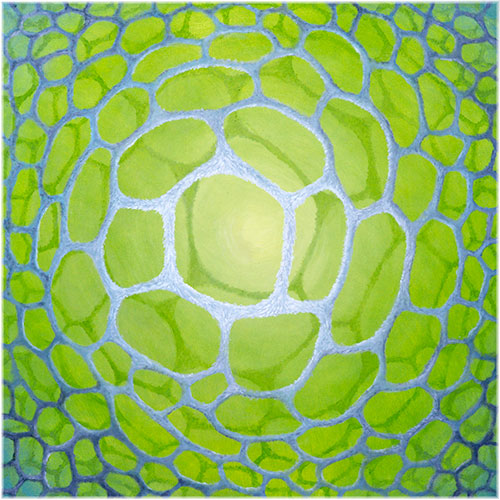 abstract  original oil painting  square  100x100 cm  Marta Konieczny  green  3D  organic  web  nature  modern  original  best  for man  for fashion house  apartment